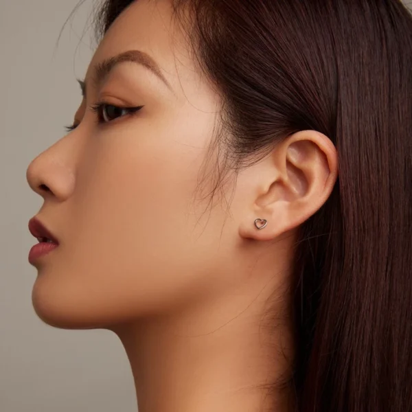 Sterling Silver Hollow Heart Earrings