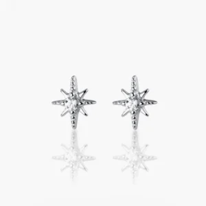 sg-11134201-7rbk1-lmye071m4cbdc8 Stellar Sparkle Studs